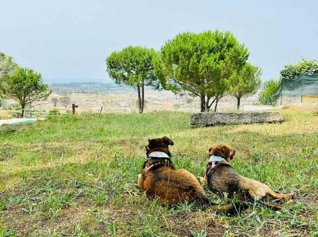 Casas De Campo Villa D'Almeida Travancinha ภายนอก รูปภาพ